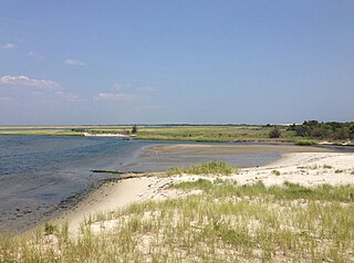Island Beach State Park State park in New Jersey, United States