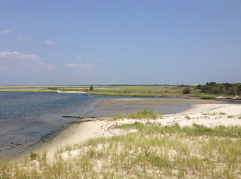 File:2013-08-21 12 34 24 Wetlands along Barnegat Bay near the southern end of Island Beach State Park, New Jersey.jpg