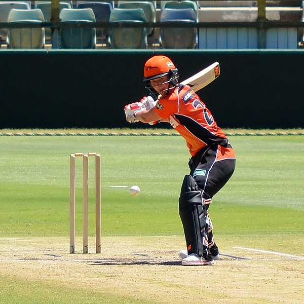 Edwards batting for Perth Scorchers, 2015.