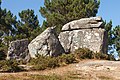 * Nomination Stones in Con da hedra. O Grove. Galicia (Spain)..--Lmbuga 20:30, 8 january 2018 (UTC) * Promotion Good quality --Halavar 22:27, 8 January 2018 (UTC)