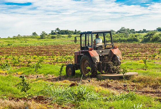 Tractor cutting the grass for future planting