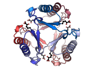 <span class="mw-page-title-main">4-Oxalocrotonate tautomerase</span>