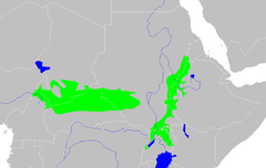 Vzhodni Sudan