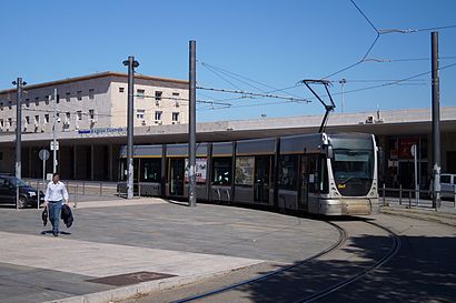How to get to Messina Centrale with public transit - About the place