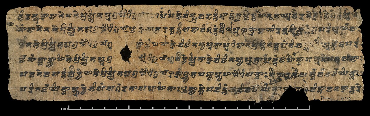 File:A Sanskrit manuscript of Lotus Sutra in South Turkestan Brahmi  script.jpg - Wikipedia