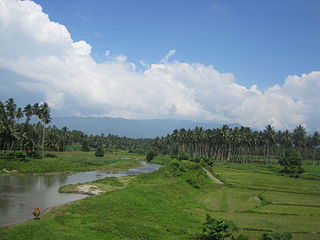 Een landschap in Noord-Sulawesi