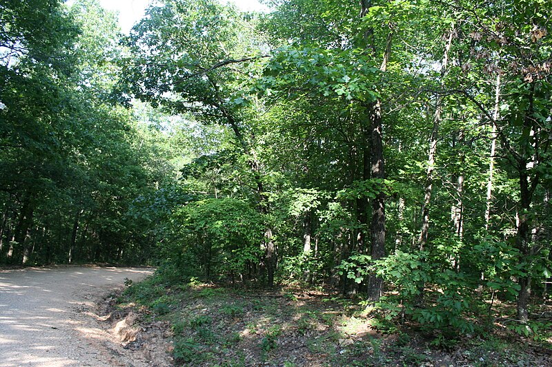 File:A recreational trail winds right in the Mark Twain National Forest in Washington County, Missouri (8c99e821-7edb-4991-93c1-ffd98d6cbc63).JPG