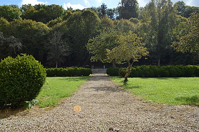 Jardin de buis