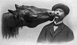 Cheval noir touchant avec sa bouche la tête d'un homme moustachu.