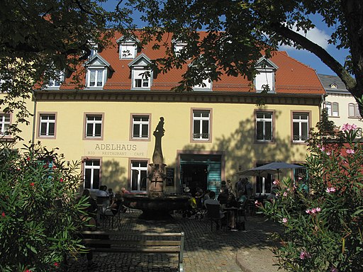 Adelhaus am Adelhauser Klosterplatz in Freiburg mit Gänsemännlebrunnen