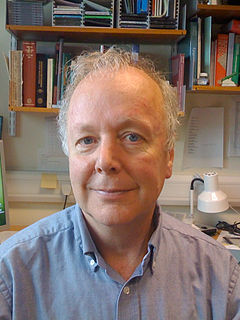 Adrian Bird British geneticist and professor