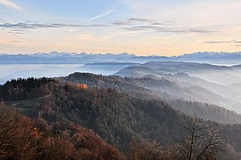 Der Albisgrat vom Uetliberg