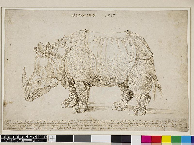 File:Albrecht Dürer - Rhinoceros (preparatory study) 1515 - BM SL,5218.161 -02.jpg