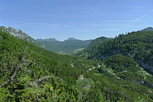 Henarwald from the Hochklapfsattel.  Feigentalhimmel (left) and Woising (center) in the background