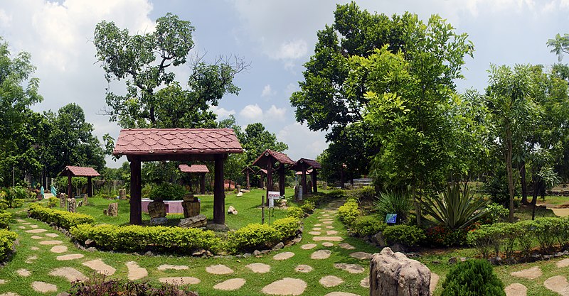 File:Amkhoi Wood Fossil Park 13.jpg