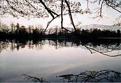 دریاچه ای که هنگام غروب آفتاب توسط درختان احاطه شده است