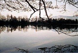 Ein von Bäumen umgebener See bei Sonnenuntergang