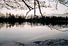 A lake surrounded by trees at sunset