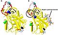 Antithrom+heparin