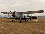 Antonov An-2TD Retro Sky Team.jpg