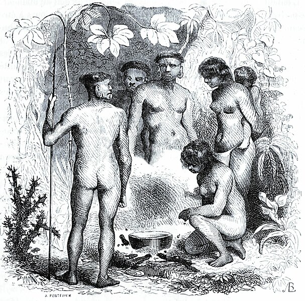 File:Arago - Souvenirs d’un aveugle, nouv. éd.1840, t.1 page 161.jpg