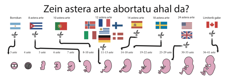 Abortatzeko Eskubide