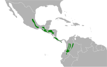 Atlapetes albinucha map.svg