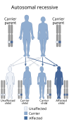 Autosomal recessive