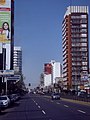 Avenida Hipólito Yrigoyen - Lanús.jpg