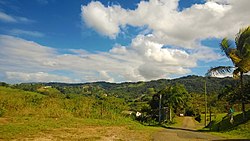Hügel in Padilla