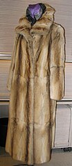 File:Bassarisk fur-coat, frontside.jpg - Wikimedia Commons