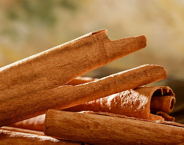 Close-up view of raw cinnamon bark