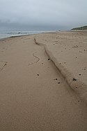 Beach at Machrihanish Bay, looking north.