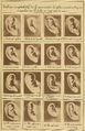 Bertillon - Identification anthropométrique (1893) 331.png