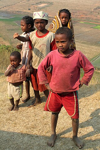 <span class="mw-page-title-main">Betsileo people</span> Ethnic group in Madagascar