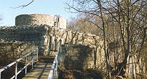 Kennel, gate and tower (March 2010)