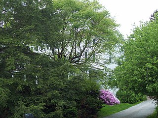 <span class="mw-page-title-main">Blue Hen Farm</span> Historic house in Delaware, United States