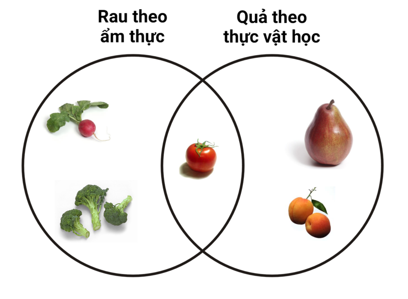 File:Botanical Fruit and Culinary Vegetables vi.png