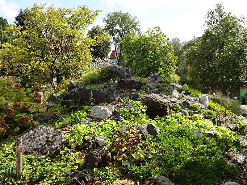 File:Botanischer Garten Innsbruck Alpinum 10.jpg