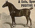 Thumbnail for File:Breeder and sportsman (1898) (20415773591).jpg