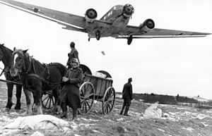 Wehrmacht Luftwaffe: Organisation und Führung, Geschichte, Waffengattungen