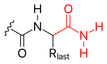 Fig. 3 C-terminal amidation C-terminal amidation.svg