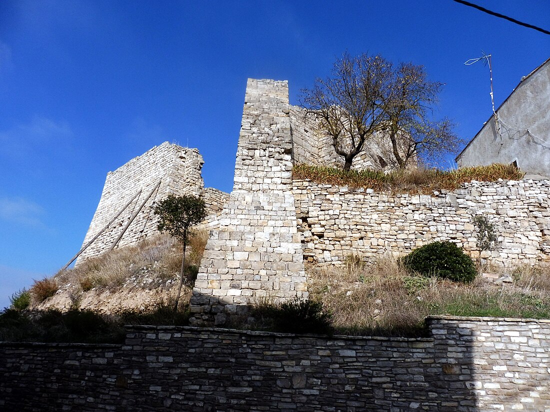 Castell de Montoliu de Segarra