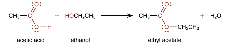 File:CNX Chem 20 03 esterform img.png