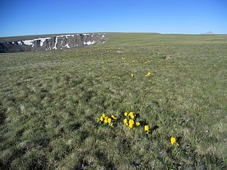 Powderhorn Wilderness Protected area in southwestern Colorado, US