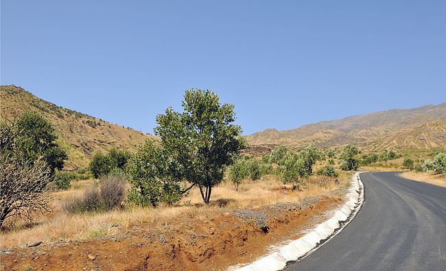 A stretch of highway heading uphill to Bordeira Cape Verde Fogo landscape 1.jpg