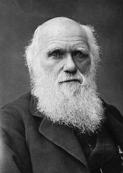 File:Charles Darwin portrait.jpg