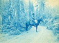 Charles Landes on a horse, Washington, early 1900s (PORTRAITS 720).jpg
