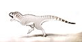 Chenanisaurus barbaricus by Nick Longrich.jpg