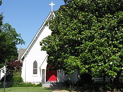 Církev schovávající se za strom magnólie.jpg